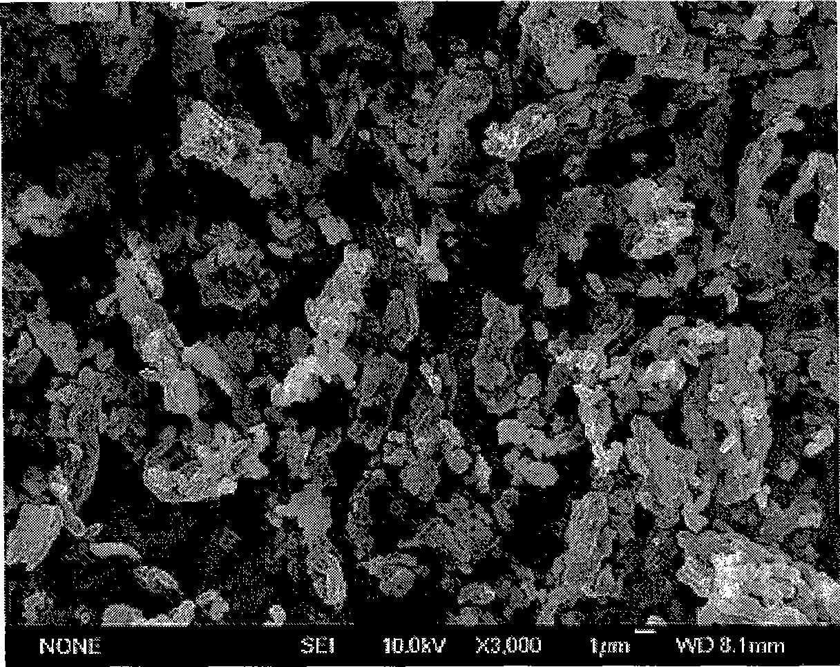 Method for preparing silicon base mesoporous molecular sieve SBA-15 immobilized enzyme biocatalyst