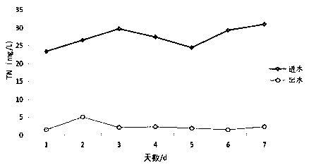 Application method of sulfur autotrophic denitrification biological carrier in anoxic tank