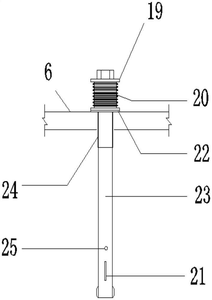 Anoxic expanded bed device and method for treating high-concentration nitrate wastewater