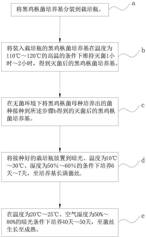 Oudemansiella radicata culture medium as well as preparation method and application thereof