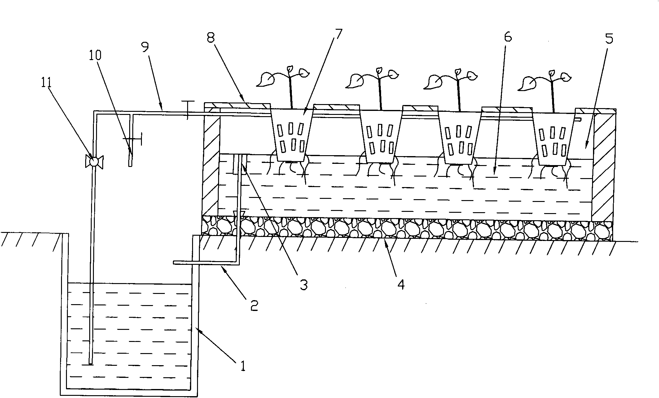 Formula of gynura bicolor nutrient solution and gynura bicolor cultivation method