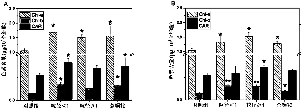 Preparation method and application of algae solution of euglena gracilis klebs for determining biotoxicity of particulates in water