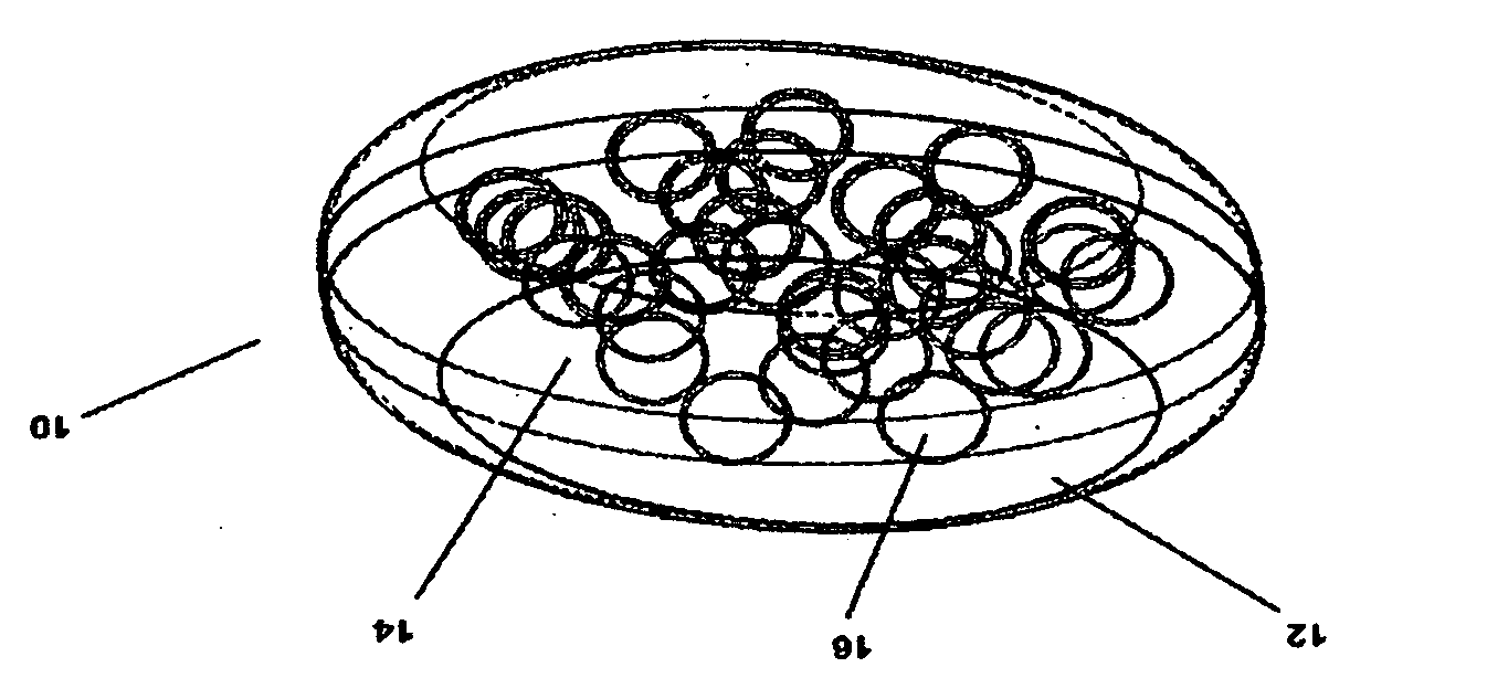 Closed system artificial intervertebral disc