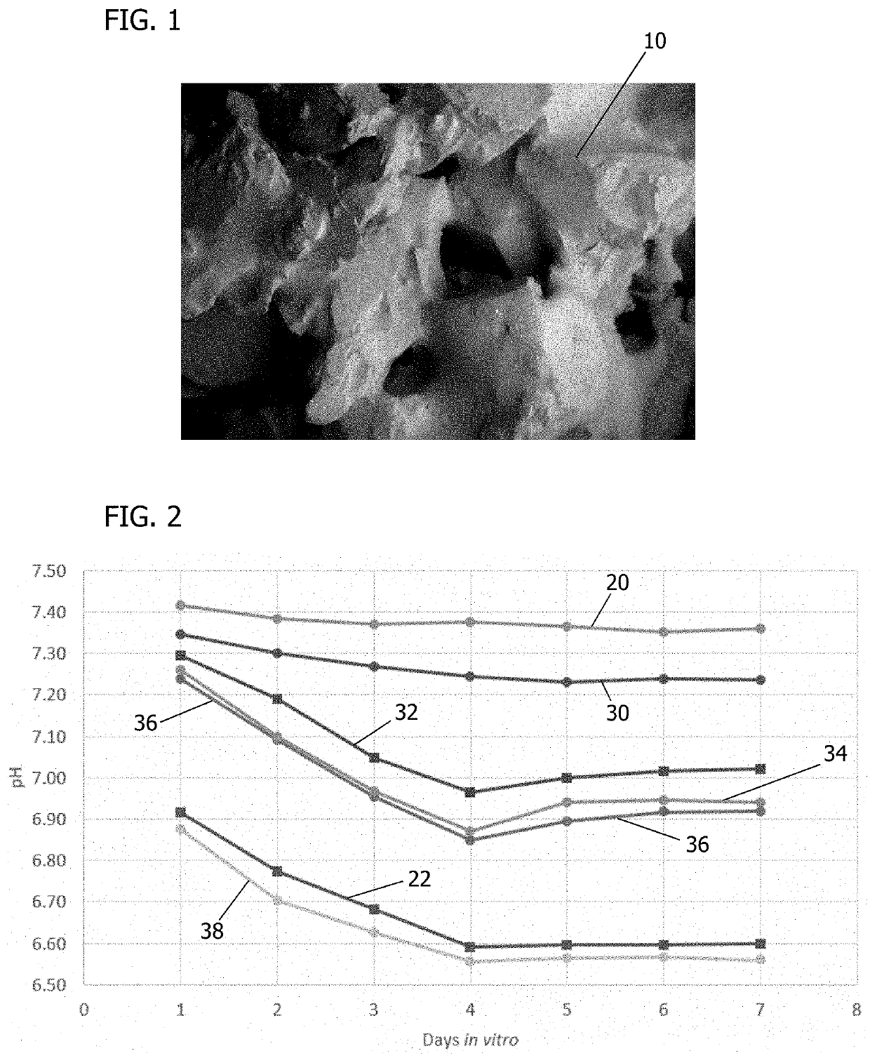 pH-modulating biodegradable polymer and poly(glycerol sebacate)-augmented cell culture media