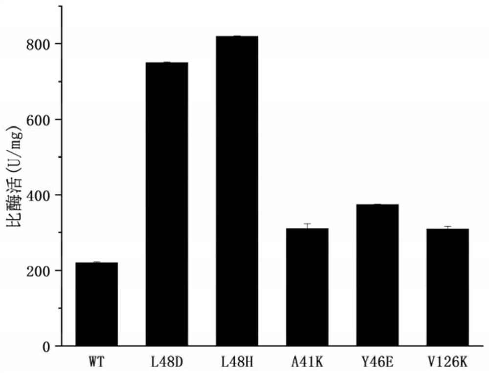 Nitrile hydratase mutant and application thereof