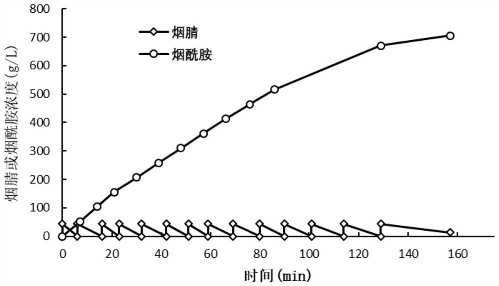 Nitrile hydratase mutant and application thereof