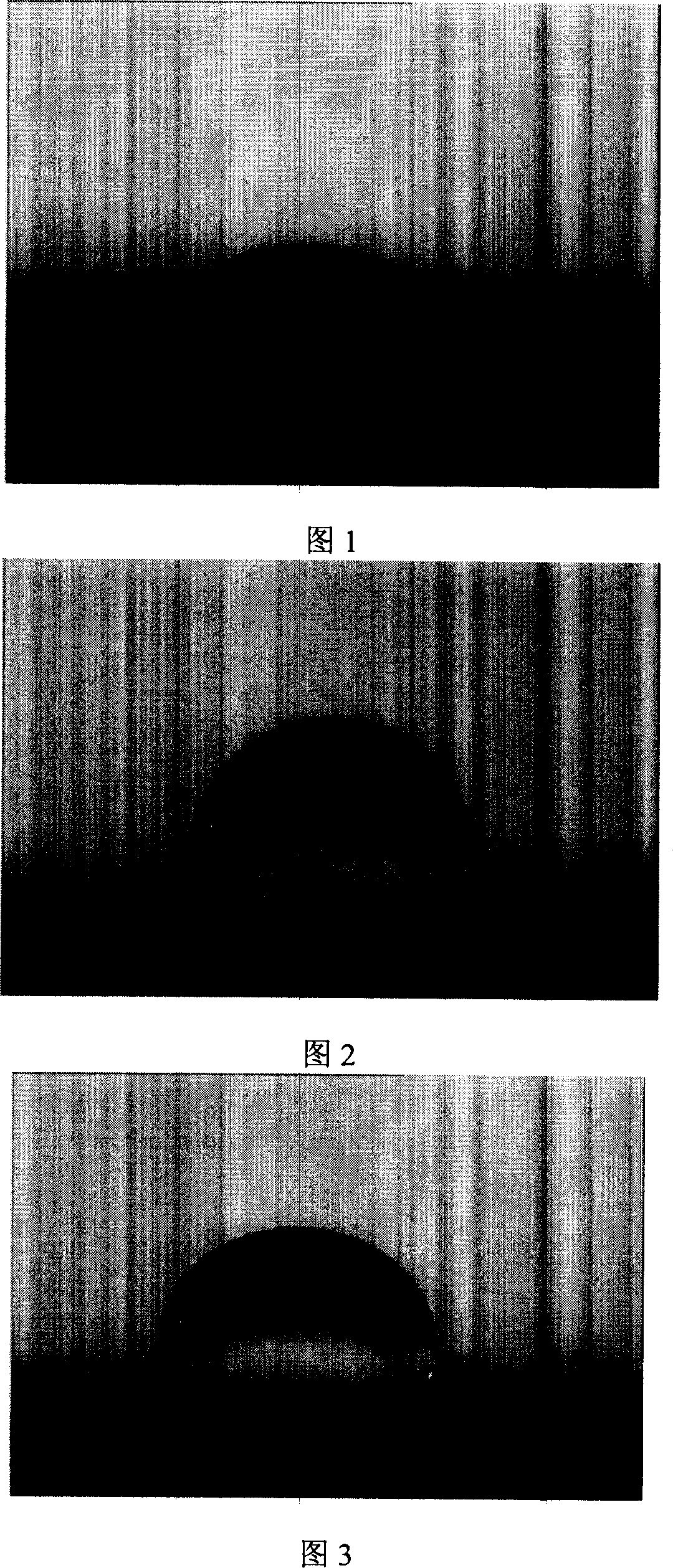 A hydrothermal processing method for fuel battery current field