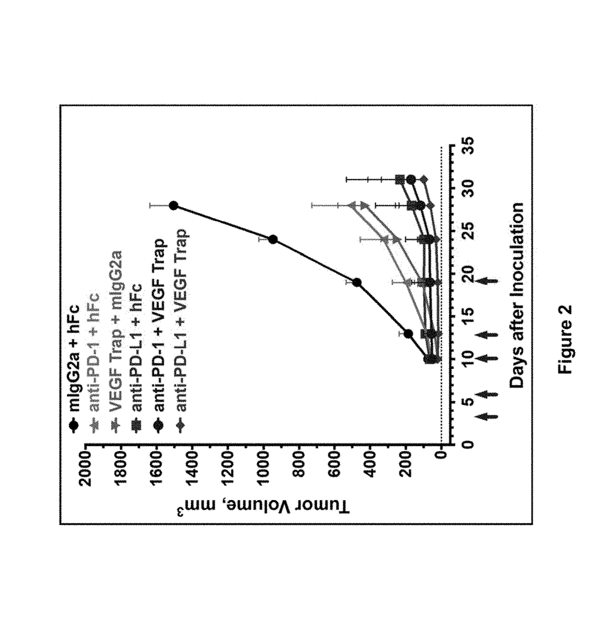 Human antibodies to PD-L1