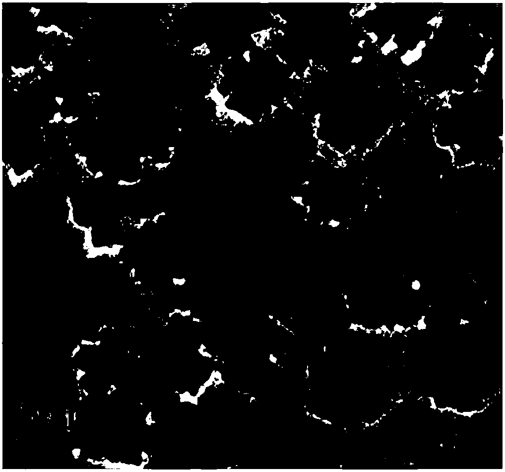 Polygonal morphology PtCoFe alloy nano-particles and preparation method of nano-particles