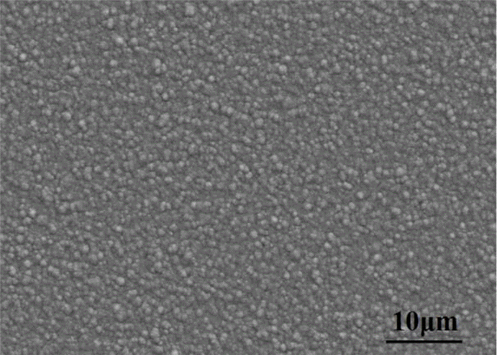 NiCoCrAlY / ZrO2 composite coating on gamma-TiAl alloy surface and preparation method thereof