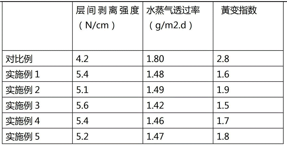 A kind of back film of solar battery panel and production process thereof