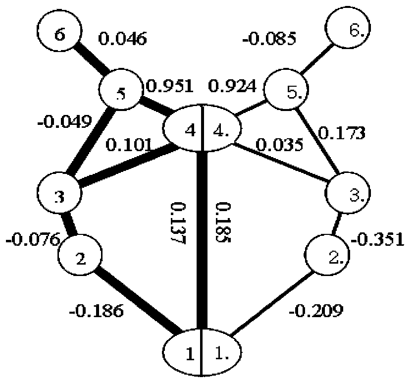 Brain interval covariance analysis method for functional magnetic resonance data processing