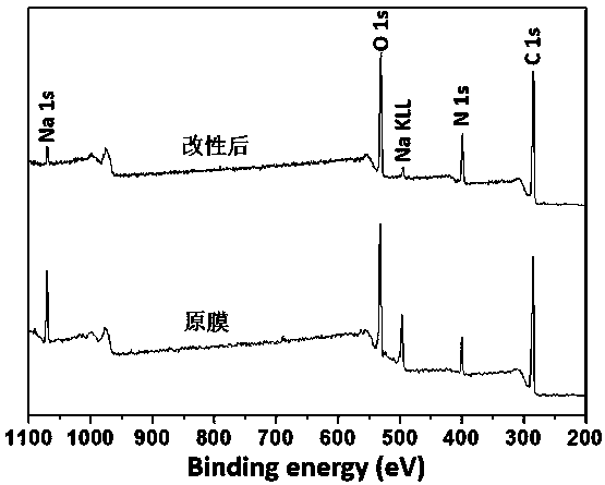 Bionic nanofiltration membrane for extracting humic acid from landfill leachate membrane concentrate and preparation method of bionic nanofiltration membrane