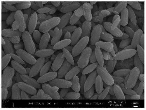 A kind of preparation method of monodisperse cobalt-nickel composite mof-74