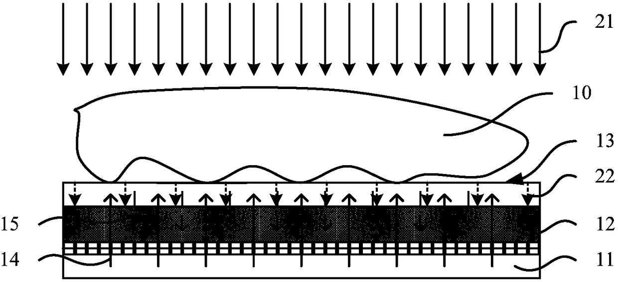 Fingerprint imaging modules and electronic device