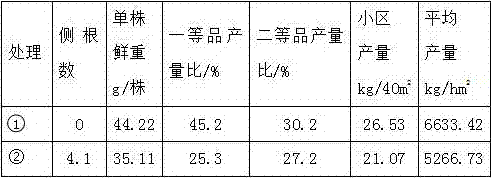 Culture method for radix astragali seedlings with damaged roots