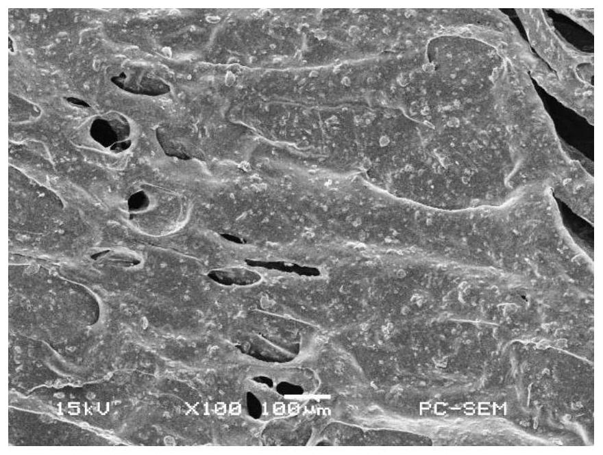 Preparation method of chitosan attapulgite membrane material having function of guiding bone tissue regeneration