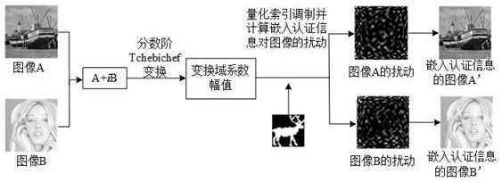 A dual-image active authentication method in fractional tchebichef transform domain