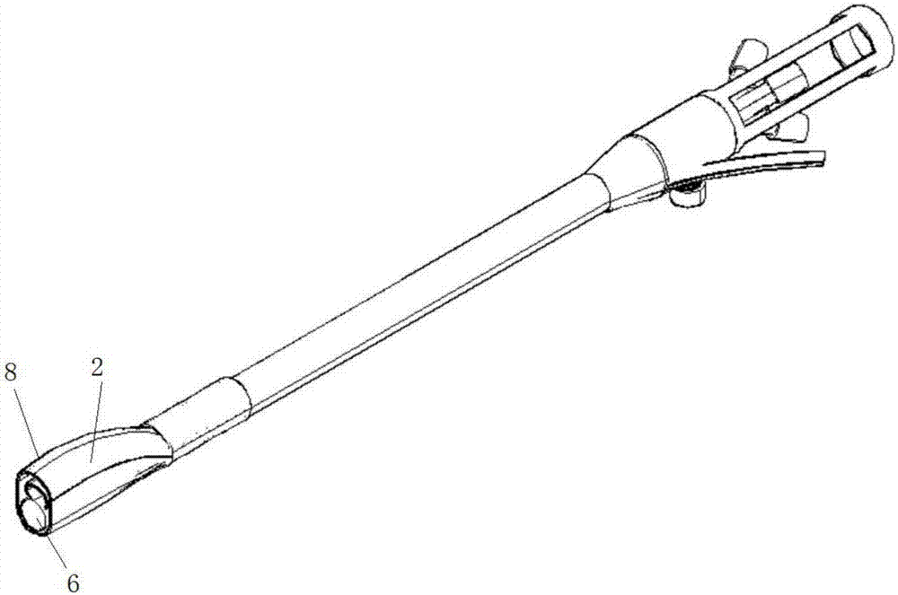 Endoscope with enlargeable tail end