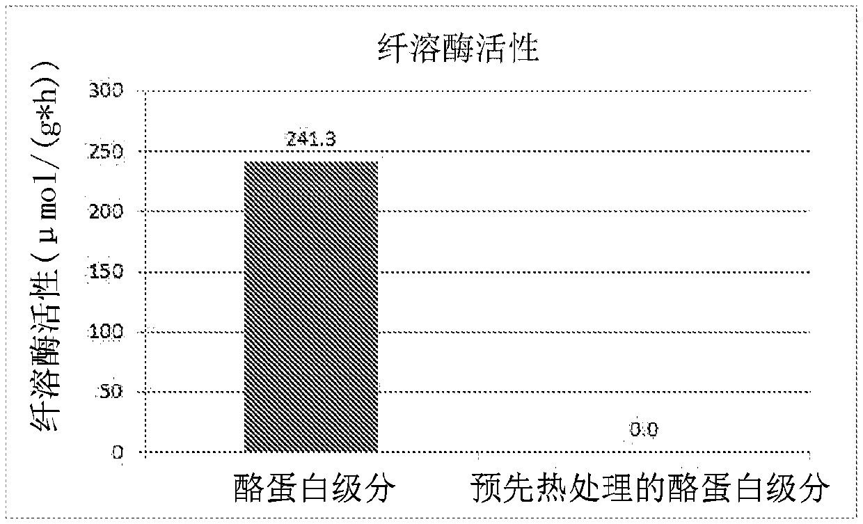 Method for producing a milk-based product with reduced plasmin-activity