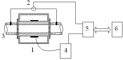 Detection method and detection device for flowing conditions of pulverized coal conveyed in high pressure dense phase pneumatic mode