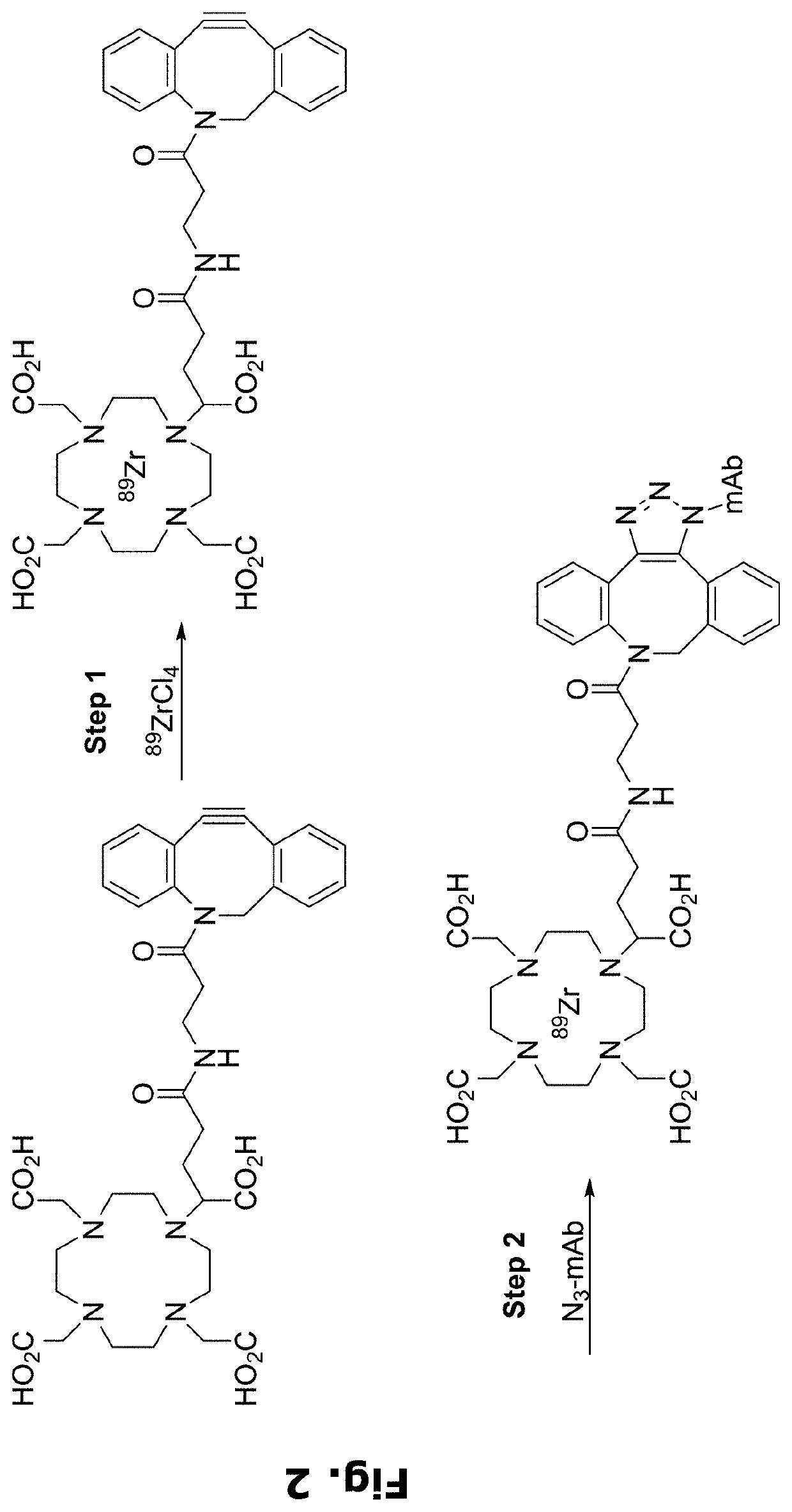 Radiolabeling of polypeptides