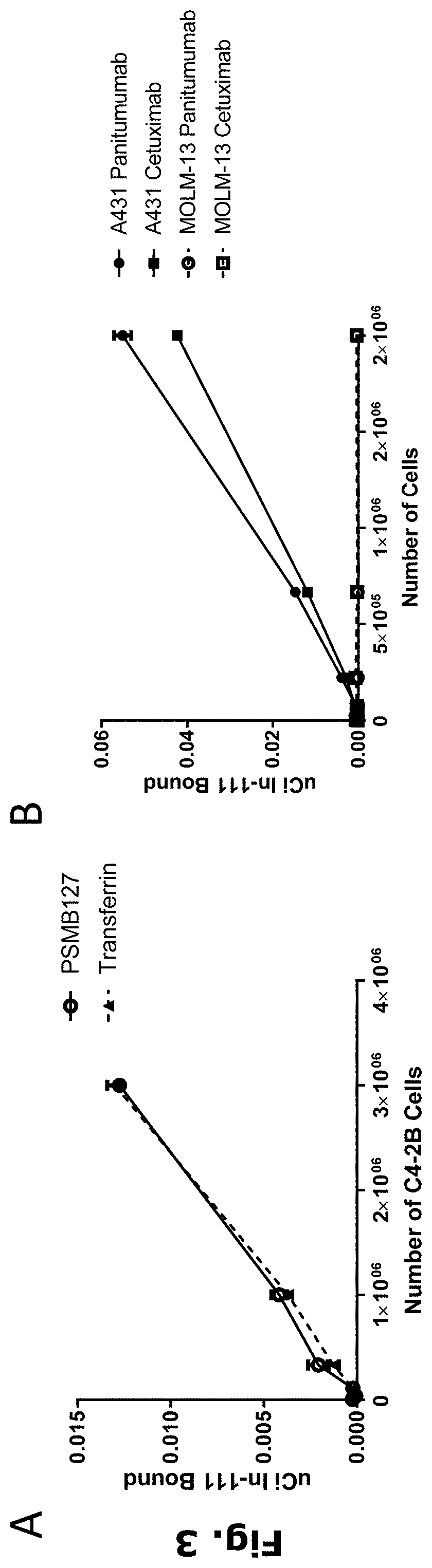 Radiolabeling of polypeptides