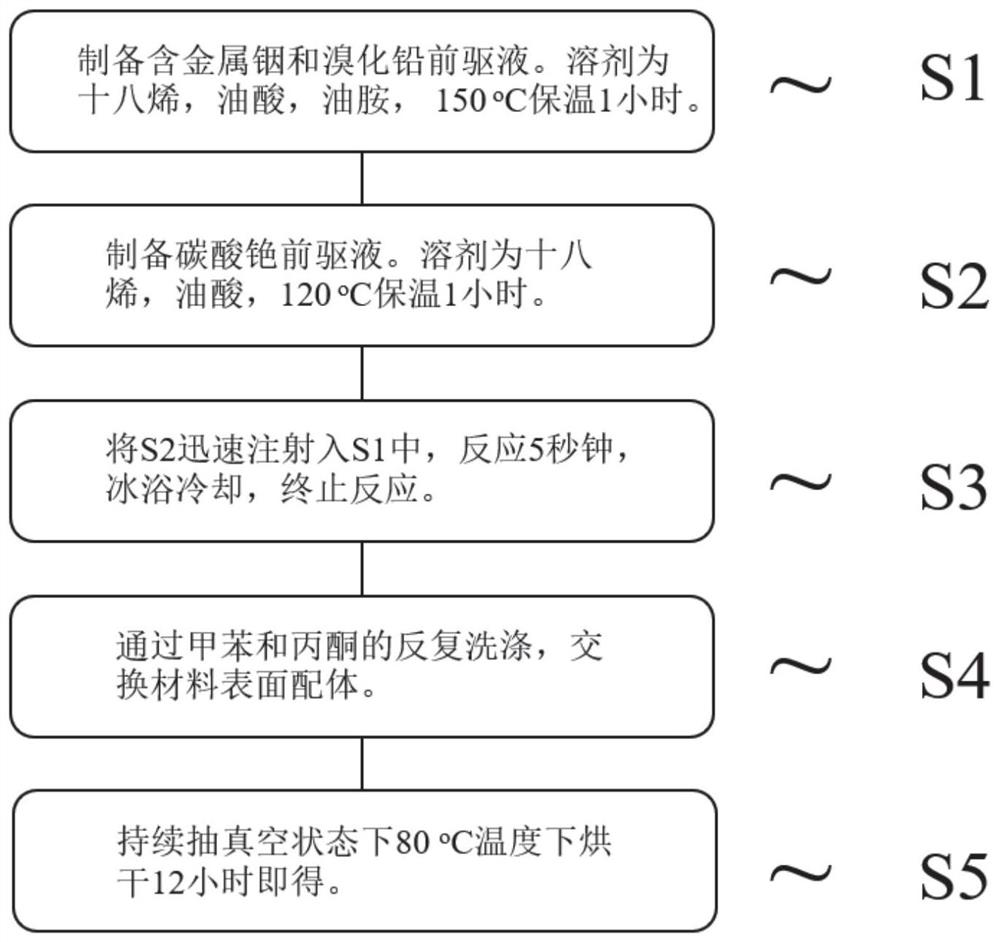 Metal indium-doped cesium lead bromide perovskite quantum dot photocatalyst and preparation method thereof, and application of metal indium-doped cesium lead bromide perovskite quantum dot photocatalyst in reduction of carbon dioxide