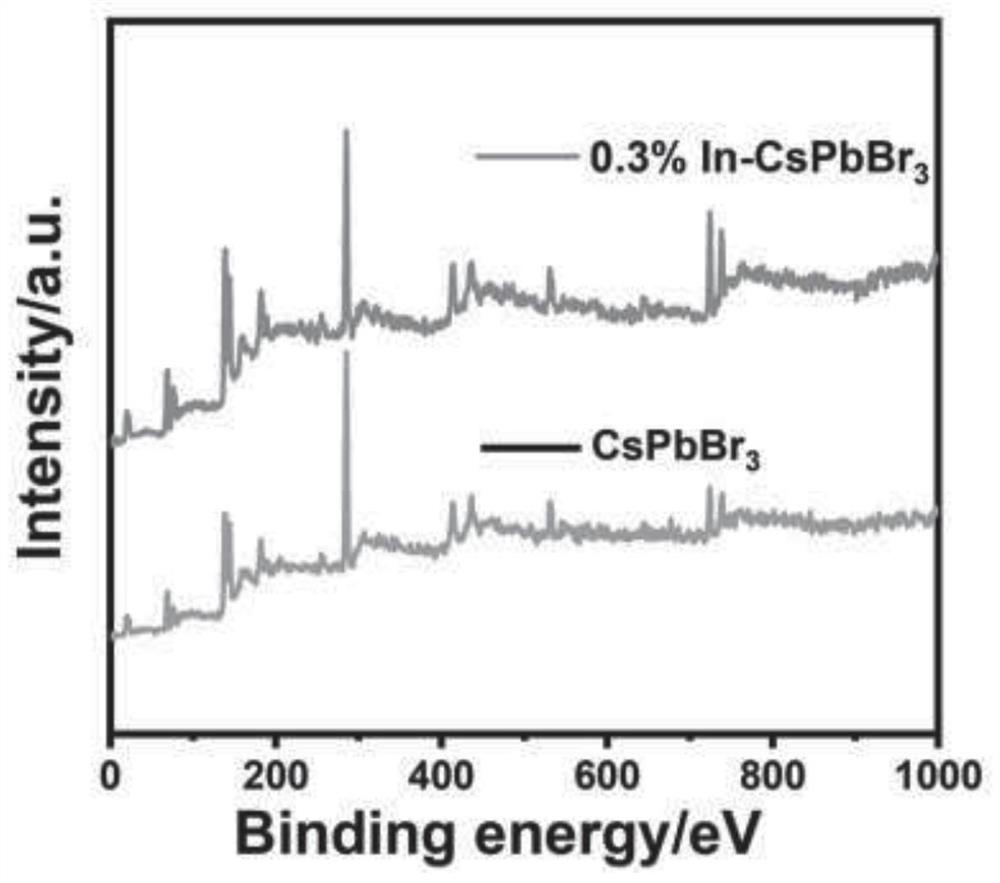 Metal indium-doped cesium lead bromide perovskite quantum dot photocatalyst and preparation method thereof, and application of metal indium-doped cesium lead bromide perovskite quantum dot photocatalyst in reduction of carbon dioxide