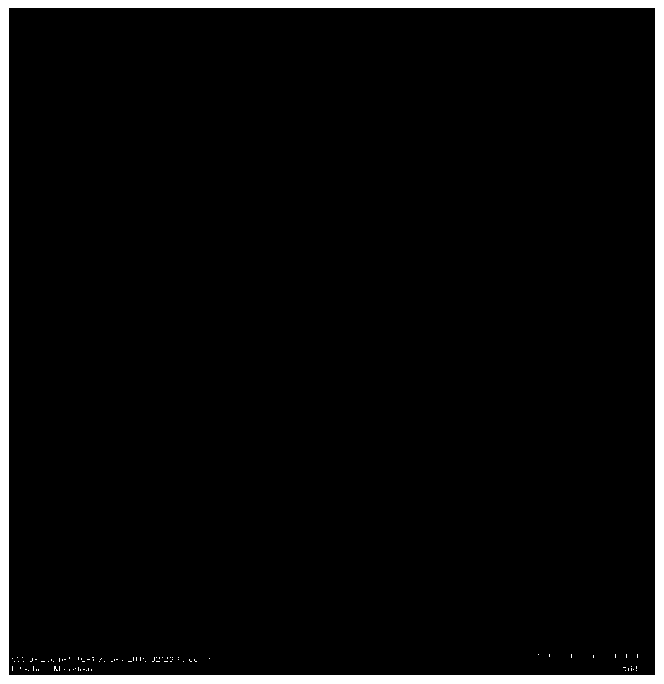 Iron oxide-carbon nano tube-gemcitabine-lentinan compound material and preparation method thereof