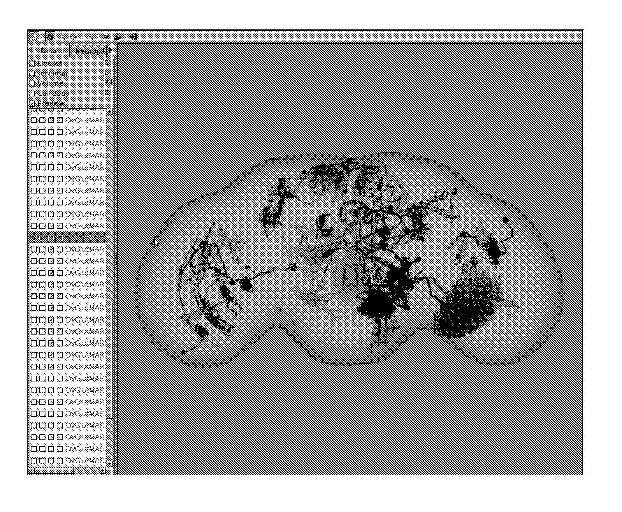 Method and System for Providing Three Dimensional Stereo Image