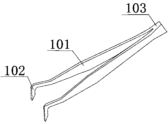 Medical forceps for oral cavity