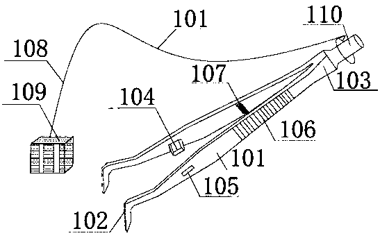 Medical forceps for oral cavity