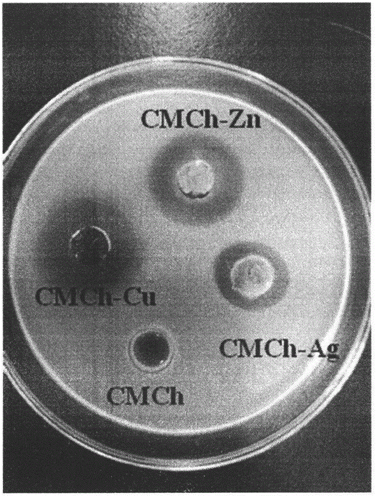 Antibacterial carboxymethyl chitosan hydrogel and preparation method thereof