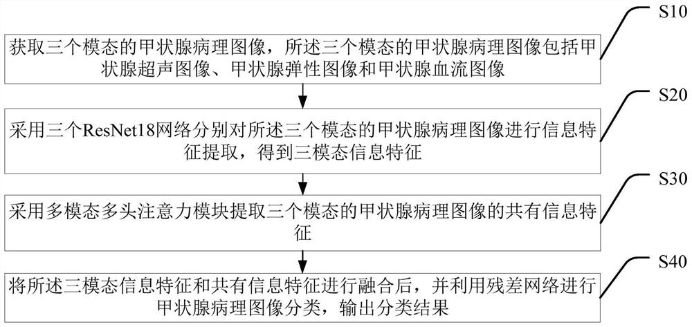 Thyroid tumor image classification method based on multiple modes and terminal equipment