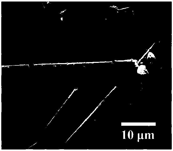 Graphite composite cathode and preparation method thereof