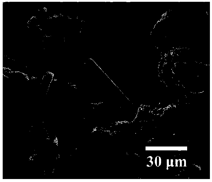 Graphite composite cathode and preparation method thereof