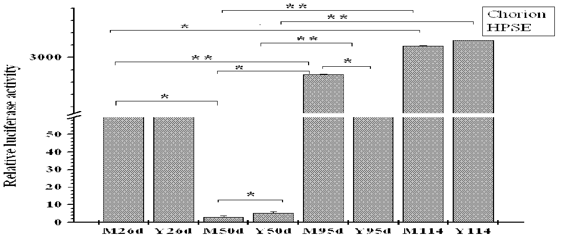 Application of molecular marker in pig birth weight trait correlation analysis