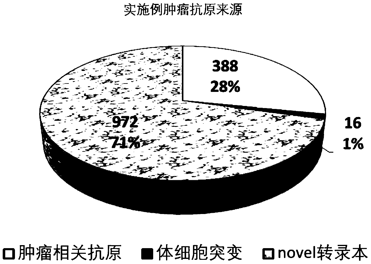 Tumor antigen prediction method based on whole transcriptome, and application of the same