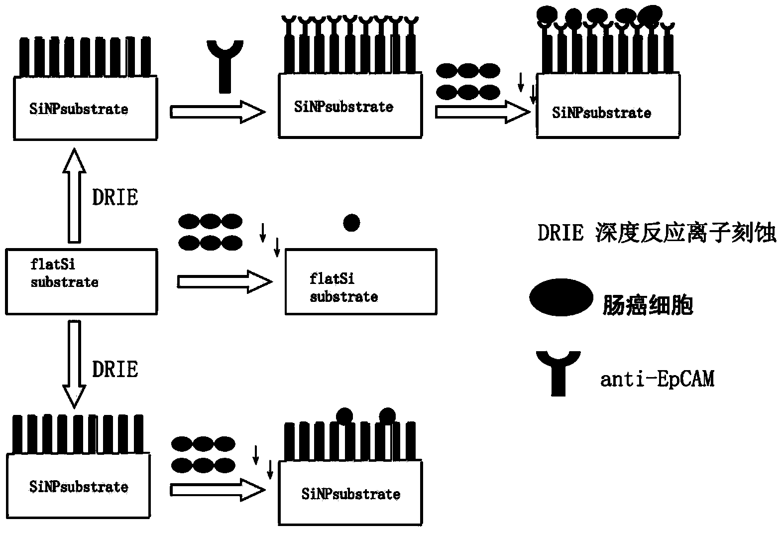 Three-dimensional nanometer chip, method for fractionation detection on circulating tumor cells (CTC) by using chip, and application of three-dimensional nanometer chip