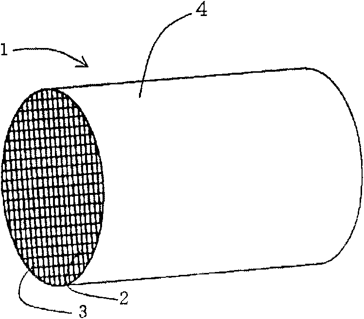 Method of honeycomb molding pretreatment for burning and system for honeycomb molding pretreatment for burning