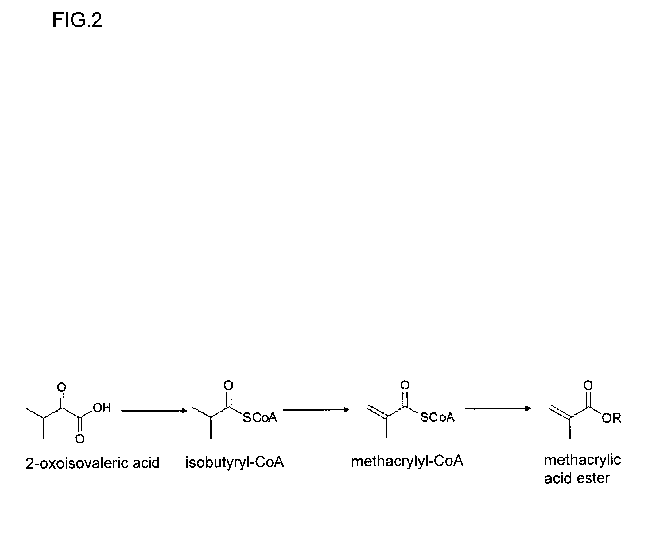 Method for producing methacrylic acid ester