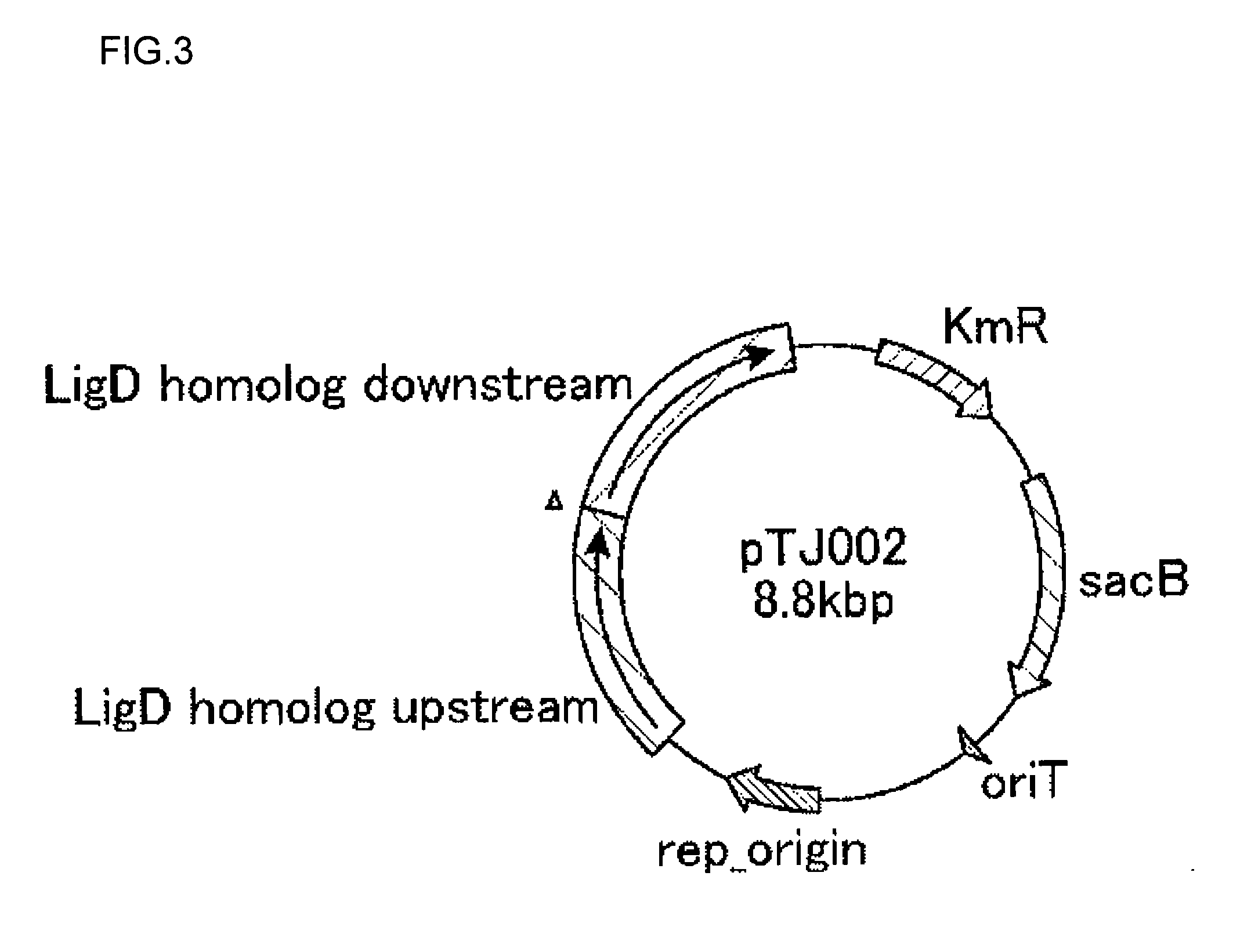 Method for producing methacrylic acid ester