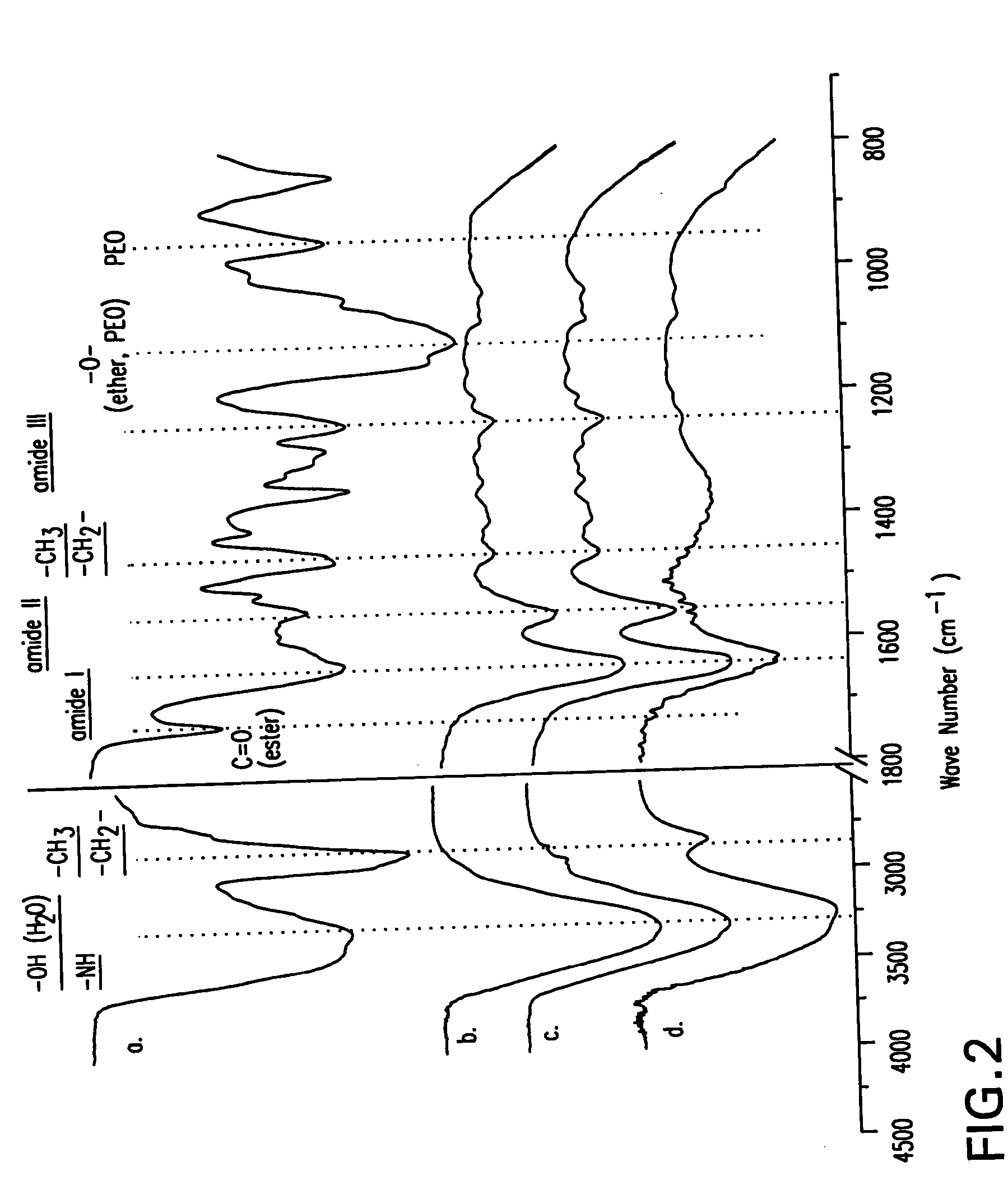 Method and material for enhanced tissue-biomaterial integration