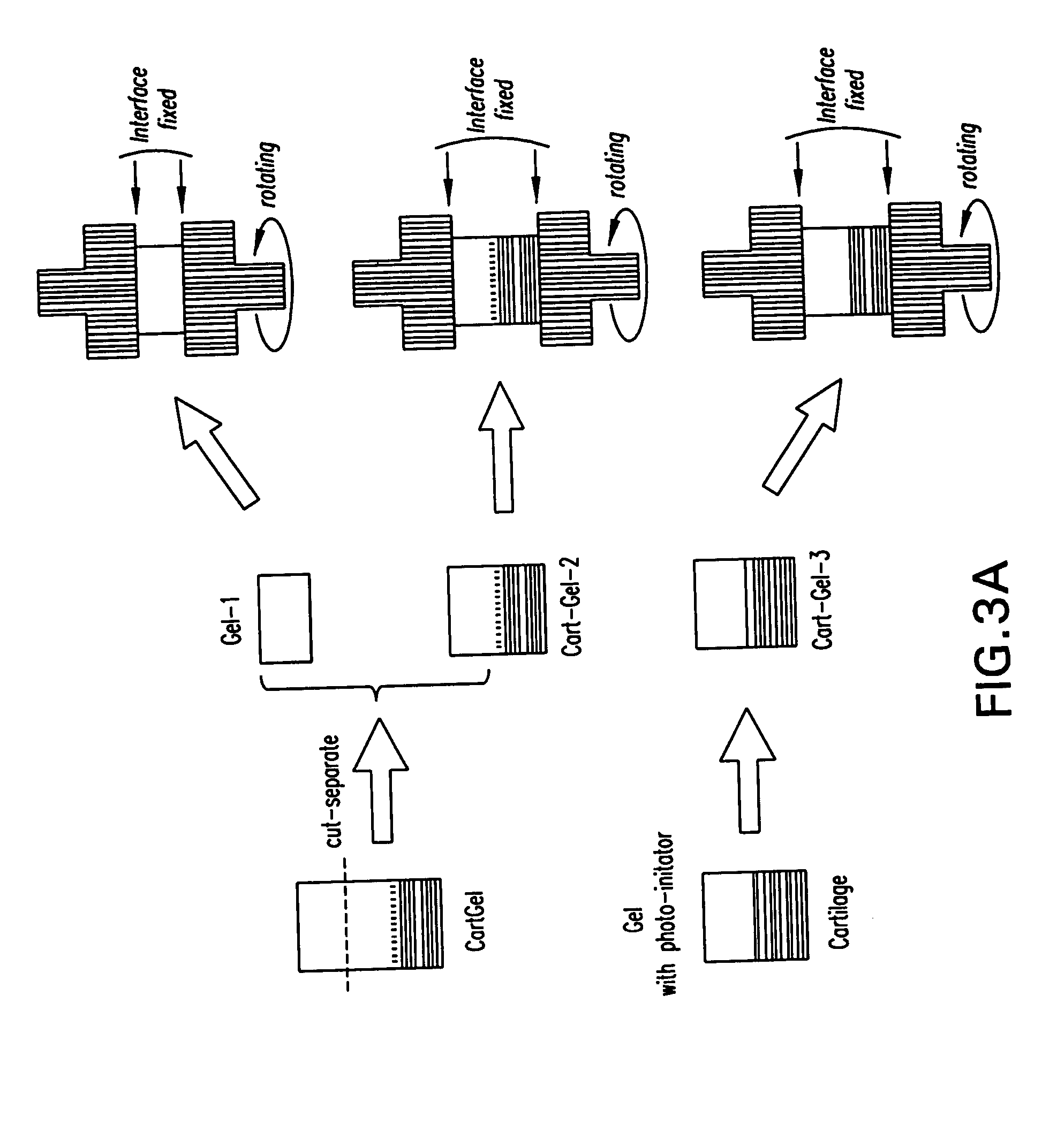 Method and material for enhanced tissue-biomaterial integration