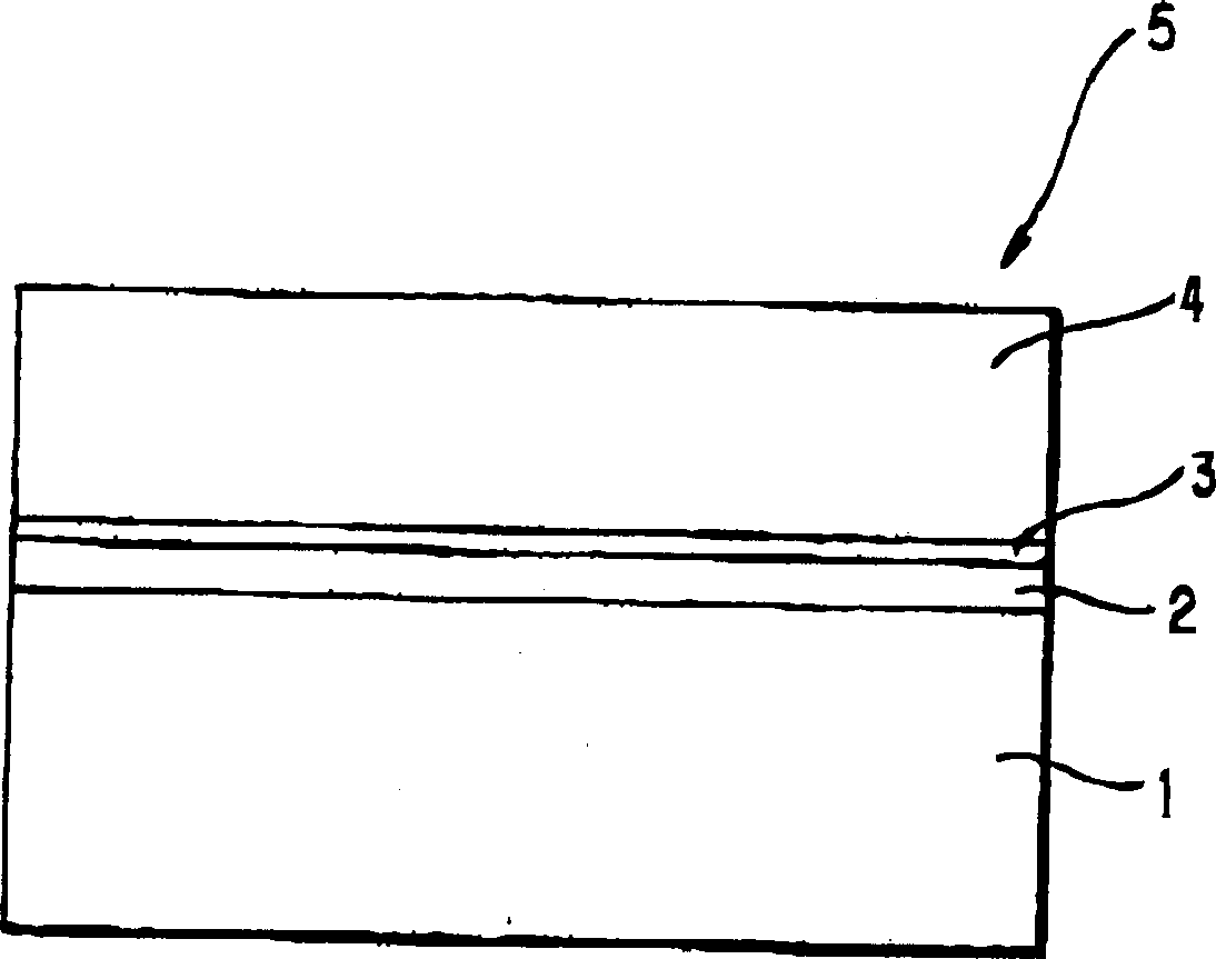 Method for growing GaN crystal chip and GaN crystal chip