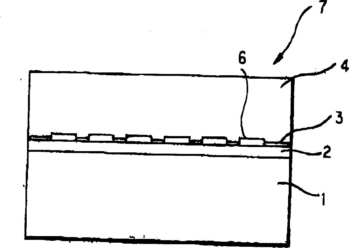 Method for growing GaN crystal chip and GaN crystal chip