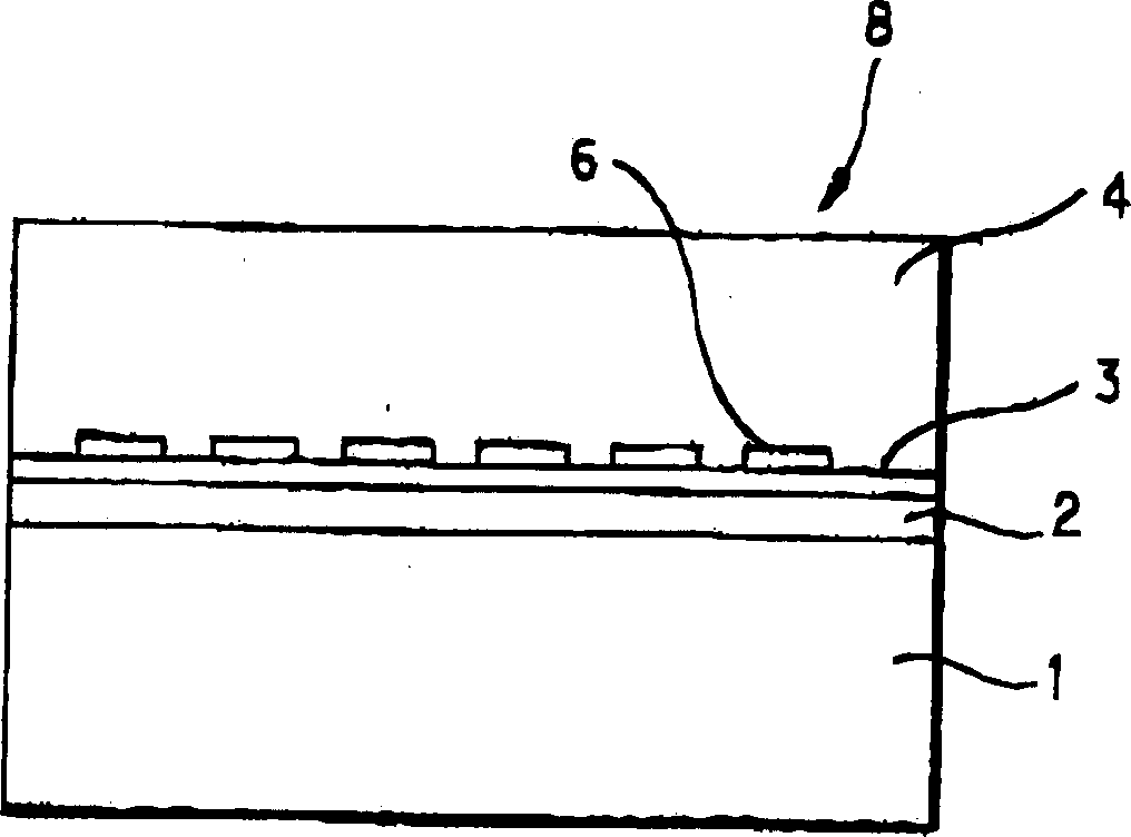 Method for growing GaN crystal chip and GaN crystal chip