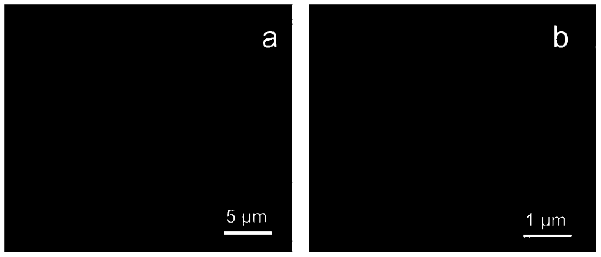 Flexible lithium metal negative electrode framework material as well as preparation method and application thereof