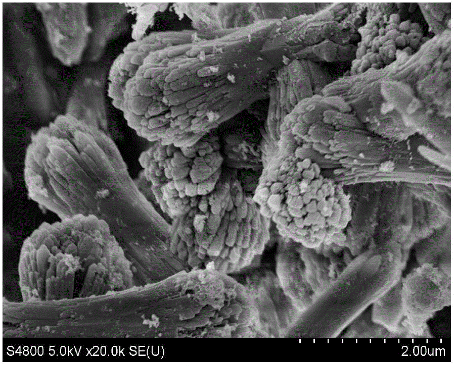 A method for synthesizing sapo-31 molecular sieve nanocrystals with double templates